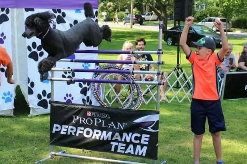 The Marshall-Putnam Fair, which runs July 17-21, will introduce The Dynamo Dogs at its 103rd fair.