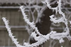 Youth mental health services available in DeKalb County