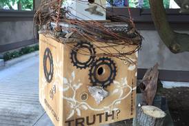 Illinois Extension to offer birdhouse workshop March 7 in Ottawa