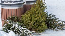 How Will County residents can dispose of their Christmas trees