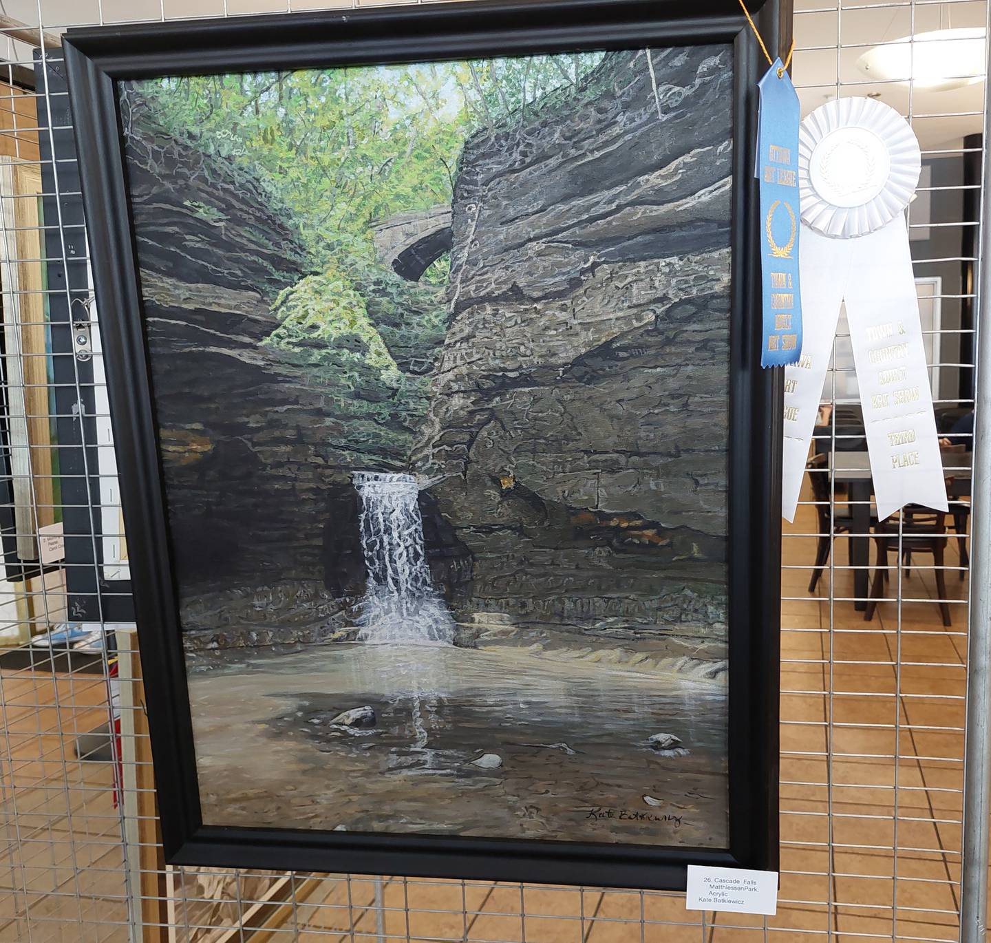 “Cascade Falls Matthiessen Park,” an acrylic painting by Kate Batkiewicz was awarded third place at the 66th annual Town and Country Amateur Art Show at Jeremiah Joe Coffee in Ottawa.