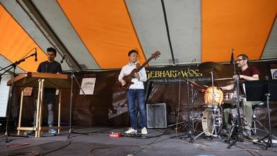 Gebhard Woods Dulcimer Festival returns to Goold Park on June 14, 15