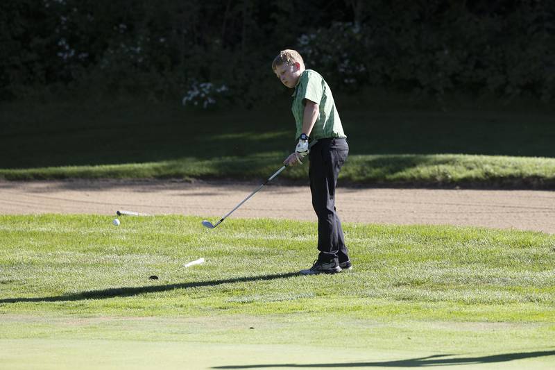 Rock Falls’ Scottie Hampton chips towards the green on #11 against Oregon Tuesday, Sept. 3, 2024, at Silver Ridge Golf Club in Oregon.