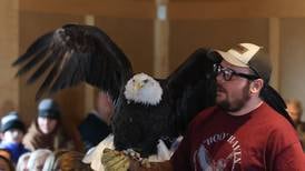 Bertolet Memorial Library to host Birds of Prey program April 15