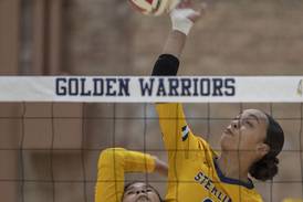 Photos: Sterling volleyball takes on Geneseo