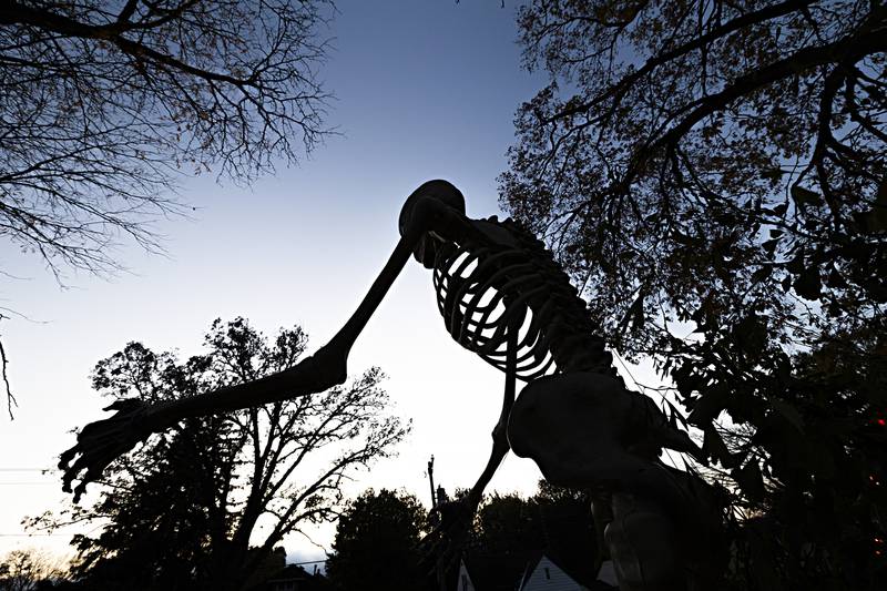A giant skeleton stands silhouetted against the late day sky adding a spooky tone for trick or treating Tuesday, Oct. 31, 2023.
