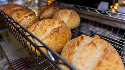 Marshall-Putnam Farm Bureau to host sourdough and herbs class