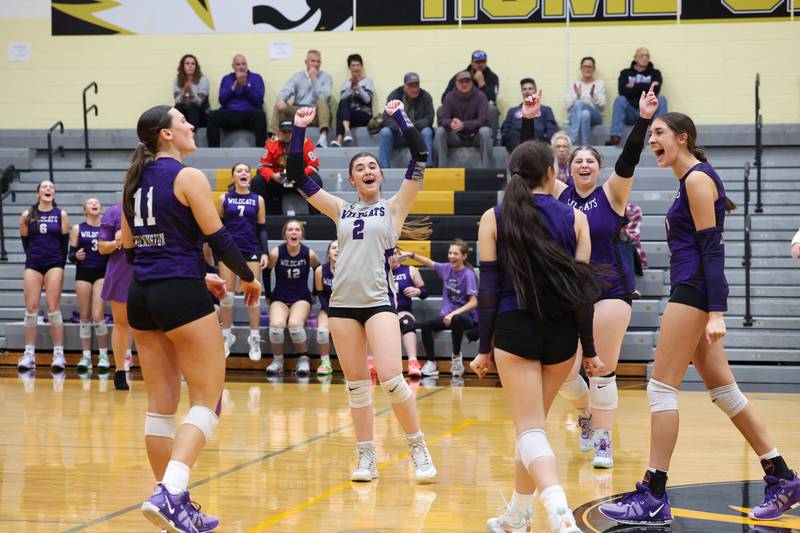 Wilmington's Sami Liaromatis celebrates a point with teammates during the Wildcats' loss in three sets, 25-16, 22-25, 17-25, to Pontiac in the IHSA Class 2A Herscher Regional championship on Thursday, Oct. 30, 2025.