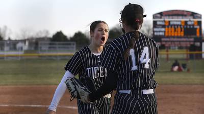 Softball: 17 Northwest-Herald area players named to ICA All-State team in Class 3A, 4A  