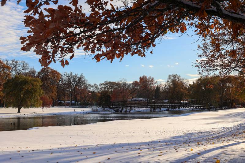 Trees continue to shed their leaves near the Island Park Bridge over the Kankakee River in Momence after approximately 12 inches of snow fell in the early hours of Nov. 10, 2025.