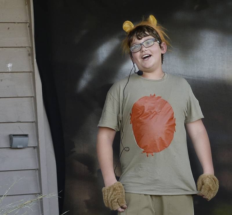 Joey Brown, as young Simba, performs a scene from "The Lion King Jr." on Friday, Aug. 11, 2023, at Knudson Park in Marseilles.