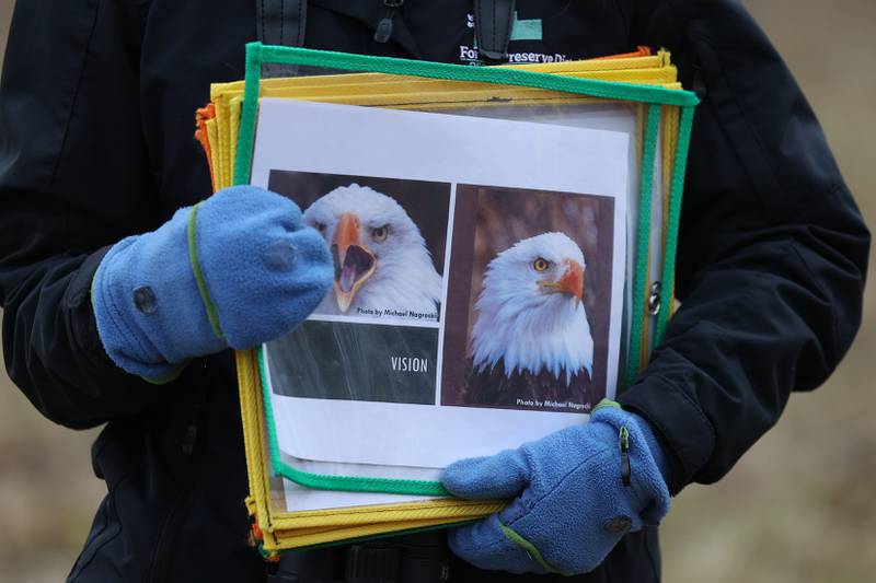 A Forest Preserve District staff member holds photos for an interactive hiking tour at the Four Rivers Environmental Education Center’s annual Eagle Watch program in Channahon.