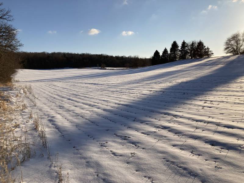 The Land Conservancy of McHenry County acquired 300 acres of land near Bull Valley in March 2022. The nonprofit plans to turn the land into a nature park, while preserving its 5 miles of bridle trails.