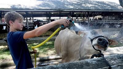 Photos: 2025 McHenry County Fair opens