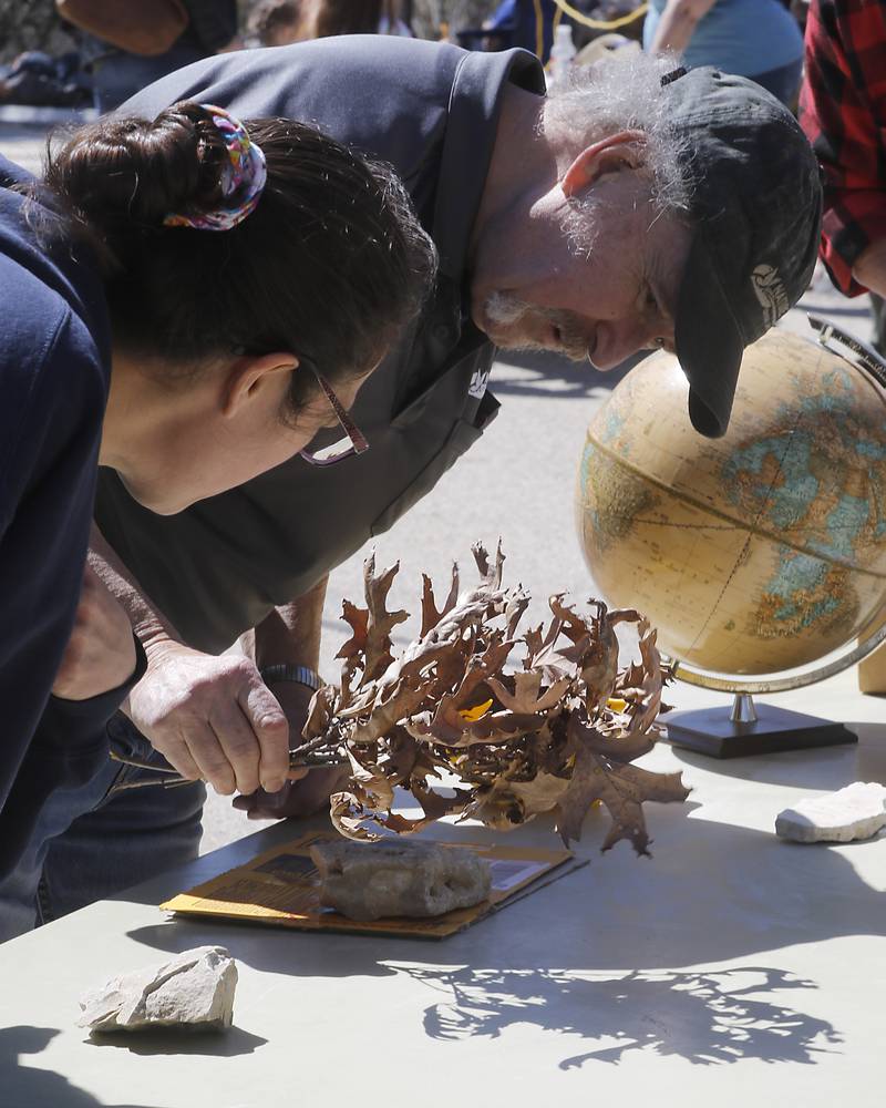 Bob Kaempfe, from the Crystal Lakes Park Department, shows how you can see the eclipse with leaves on Monday, April 8, 2024, at the Crystal Lake Park District's Nature Center.