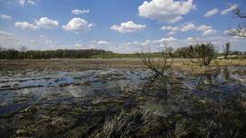 Glacial Park restoration project receives $25K Fairways Foundation grant