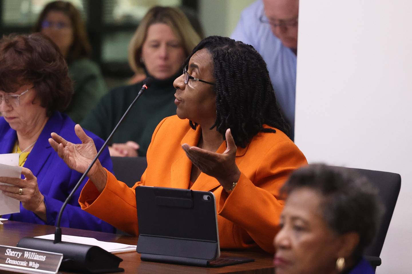 Will County Democratic Whip Sherry Williams at the Will County Board Meeting on Monday, Dec. 2, 2024 in Joliet.