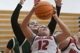 2024-25 NewsTribune Girls Basketball All-Area Team