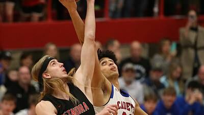 Photos: Kane County Chronicle Week in Pictures for March 6-12