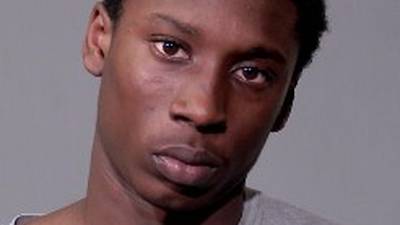 Joliet teen charged in burglaries at several businesses
