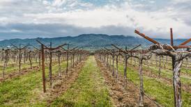 Uncorked: Challenging terrain can yield expressive wines