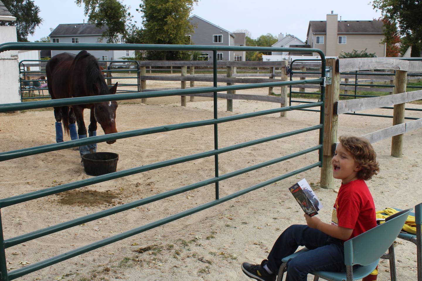 William Triplett reads to Candy the horse during the Hooved Animal Humane Society's Rescue Readers program in partnership with the Woodstock Public Library.