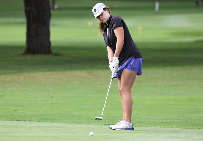 Sycamore-DeKalb co-op’s Brianna Chamoun putts on the seventh green Thursday, Sept. 28, 2023, during the Class 2A girls golf regional at Sycamore Golf Club in Sycamore.
