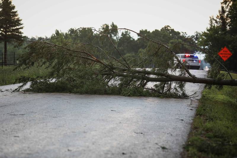 A quick-moving storm downed trees and power lines in Marengo on July 10, 2025.