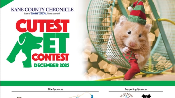 December Cutest Pet Contest