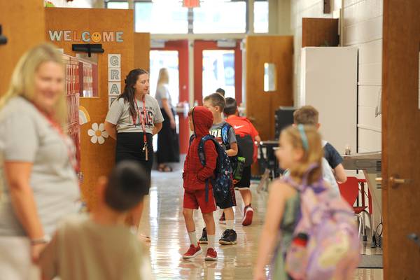 Yorkville District 115 students outpace state average on math, science and English skills