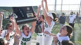 Softball: Book closes on another strong softball season in the Sauk Valley