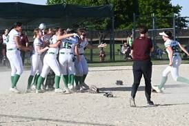 Prep sports: Spring season was perfect end to fantastic year in Sauk Valley sports