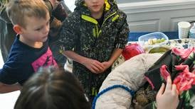 Photos: Polar-Palooza in St. Charles