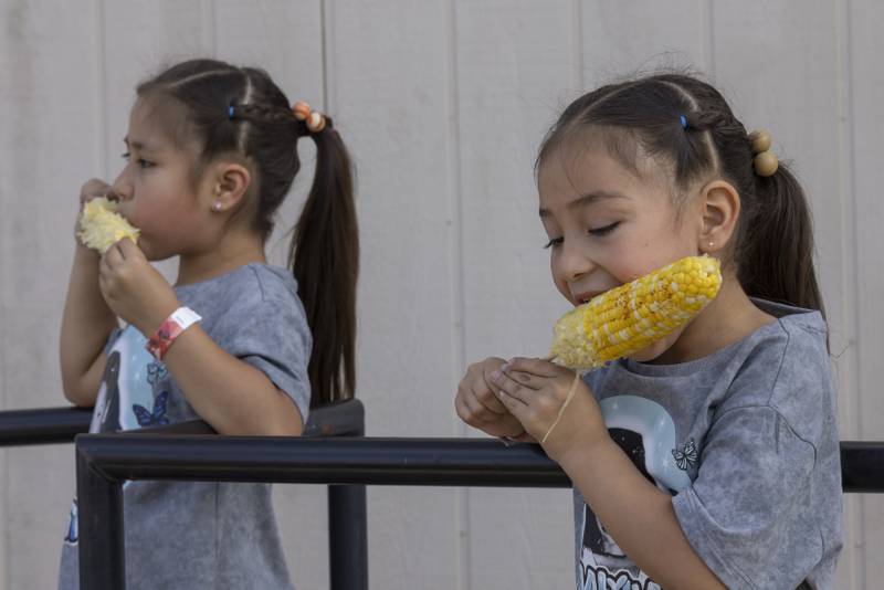 Photos Mendota Sweet Corn Festival 2024 Shaw Local
