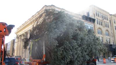 PHOTO: Joliet Christmas tree for new City Square