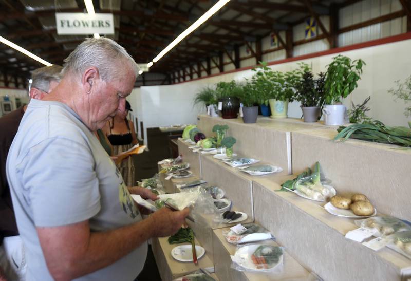 Bill Meyer judges vegetables during the opening day of the McHenry County Fair on Tuesday, July 29, 2025. The fair runs through Sunday at the fairgrounds in Woodstock.