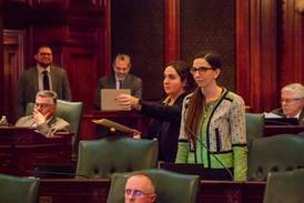 Illinois House passes bill prohibiting book bans