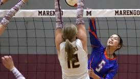 Daily Chronicle 2024 Volleyball All-Area Team
