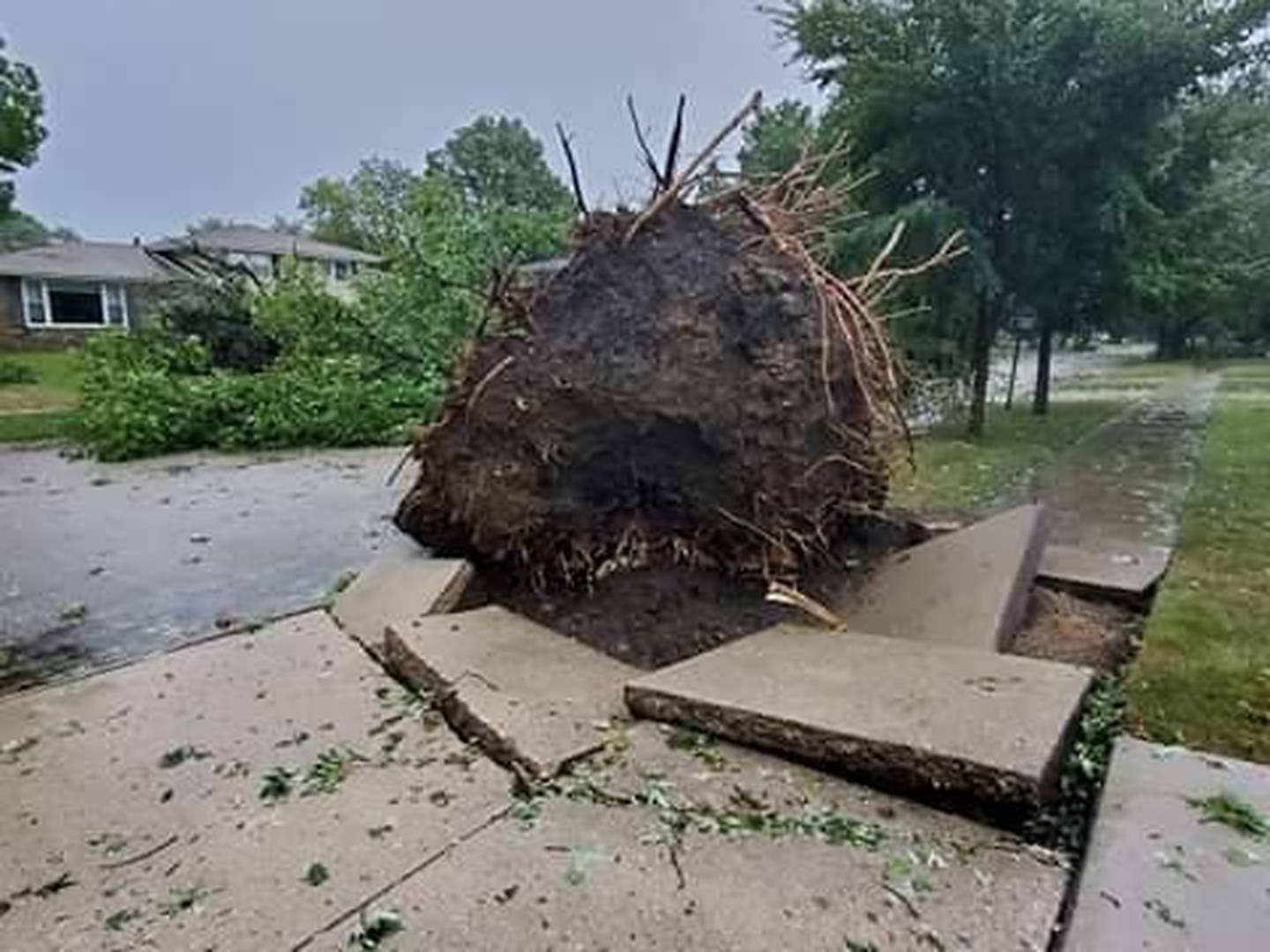Joliet 2020 derecho