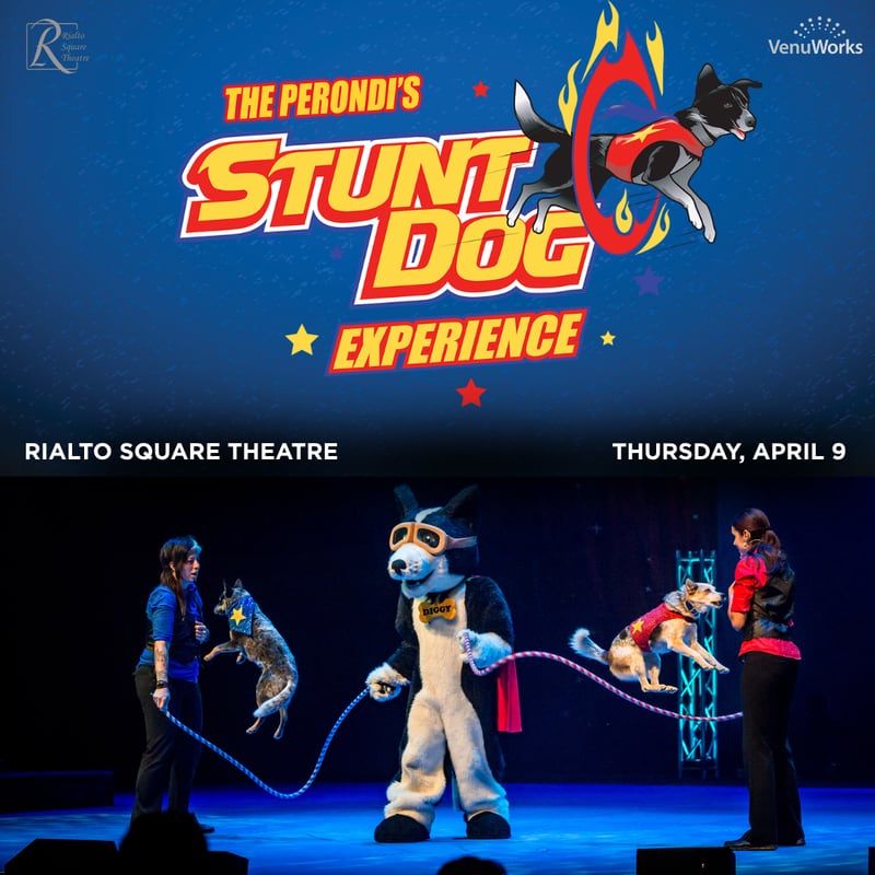 Chris Perondi and wife Suhey Perondi, along with their famous stunt dogs, will bring their Stunt Dog Experience to the Rialto Square Theatre in downtown Joliet Thursday, April 9.