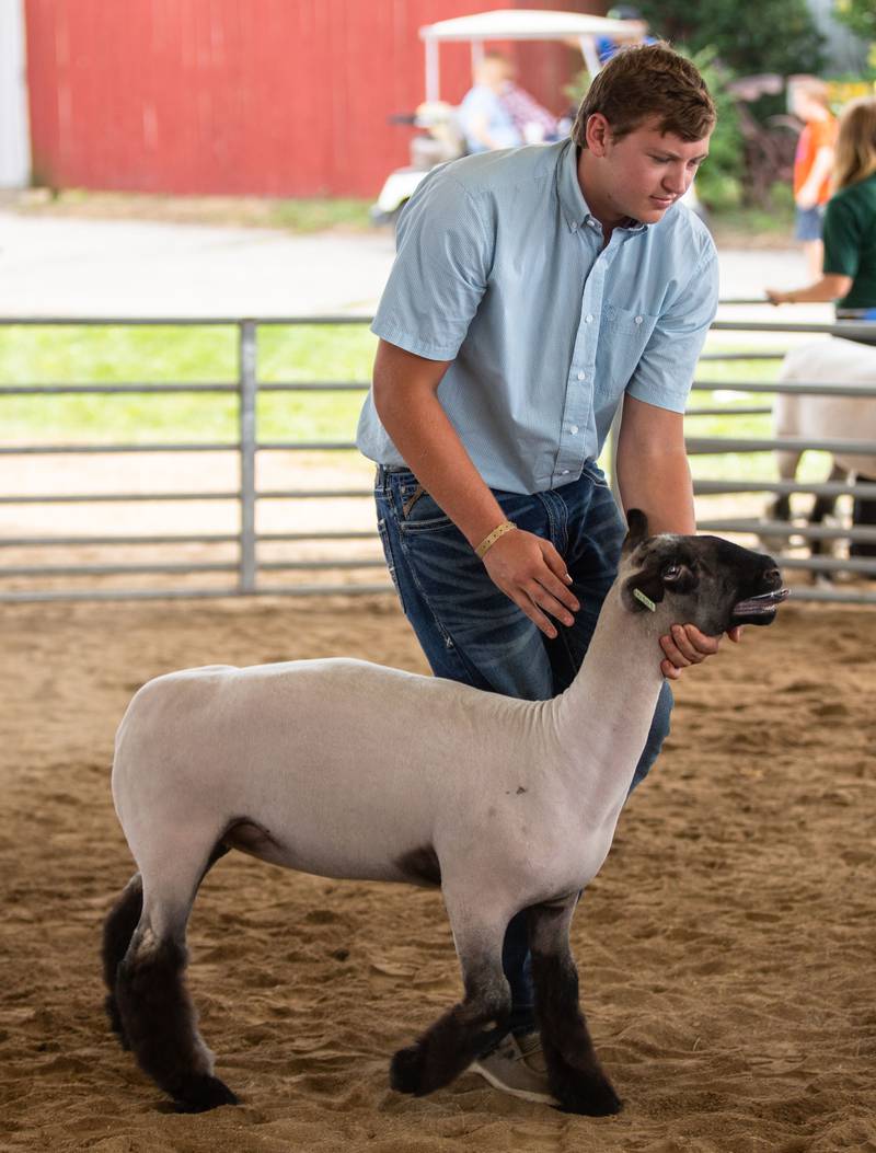 Hayden Gieseke of Marengo shows his ewe at the 4-H show that was held during the 75th anniversary of the McHenry County Fair in Woodstock on Wednesday, August 2, 2023.