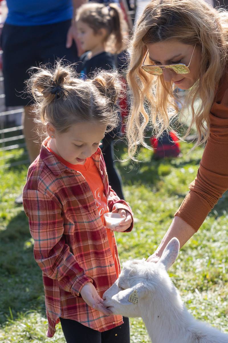 Finley Warren, 6, of Sterling gets some help from her mother while feeding a baby goat at the Pumpkin Dash petting zoo.