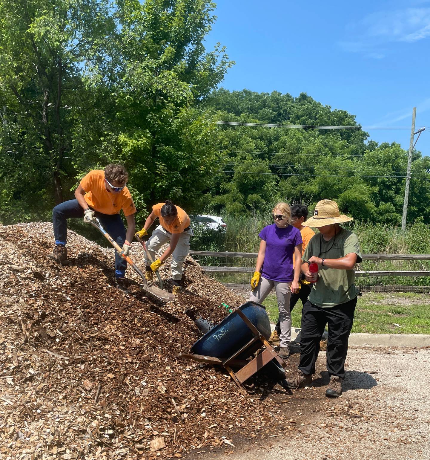 A Youth Conservation Corps crew spreads wood chips at Independence Grove Off-leash Dog Area.