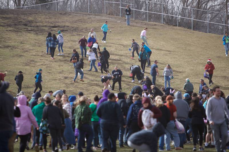 Participants run for the eggs  at the Adult Easter Egg Hunt on Saturday, March 15, 2025