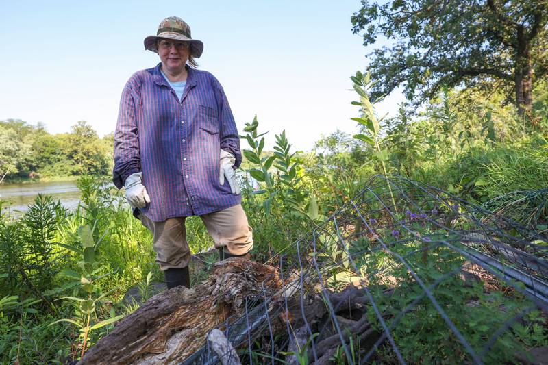 Karen Horn, 5-year volunteer with the Friends of Langham Island, of Altorf, stands near the endangered leafy prairie clover, protected by fencing at right, that she rediscovered which hasn't been seen since 1873 on Langham Island during a stewardship day on July 17, 2025.