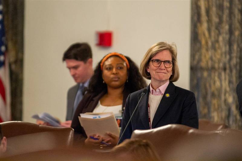 Sen. Suzy Glowiak Hilton is pictured on the floor of the Illinois Senate.