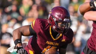 DuPage and suburban Cook County semifinal IHSA football previews 