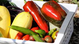 DeKalb County mobile food pantry dates for April 2026