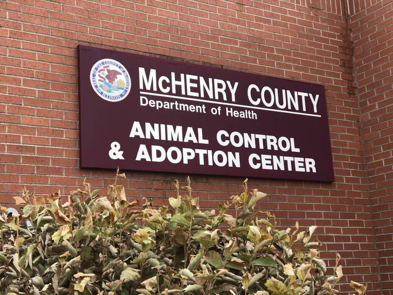 The McHenry County Animal Control office in Crystal Lake is photographed Friday, Dec. 20, 2019.