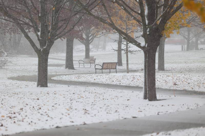 Snow falls on a quite Electric Park in Plainfield on Thursday, Nov. 21, 2024.